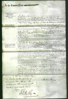 Court of Common Pleas - Mary Meredith-Original Ancestry