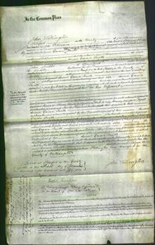 Court of Common Pleas - Emma Smith-Original Ancestry