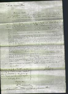 Court of Common Pleas - Jane Michaelson-Original Ancestry