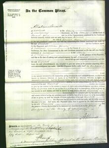 Court of Common Pleas - Elizabeth Rogers-Original Ancestry