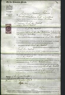 Court of Common Pleas - Sarah Ann Westhall-Original Ancestry