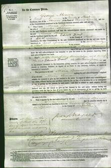 Court of Common Pleas - Maria Sparrow-Original Ancestry