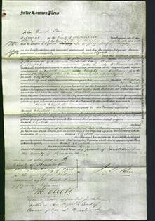 Court of Common Pleas - Elizabeth Palfrey-Original Ancestry