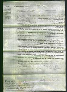 Court of Common Pleas - Elizabeth Roberts-Original Ancestry