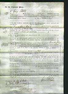 Court of Common Pleas - Jane Hall-Original Ancestry