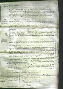 Court of Common Pleas - Mary Ann Taylor Golland and Harriett Symonds-Original Ancestry