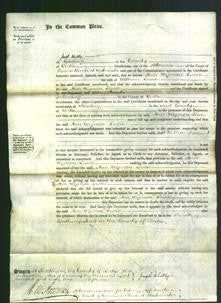 Court of Common Pleas - Ann Wigmore-Original Ancestry