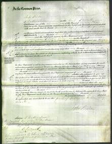 Court of Common Pleas - Hannah Stringer-Original Ancestry