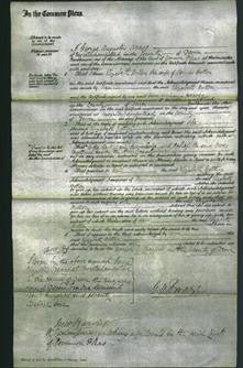 Court of Common Pleas - Elizabeth Wotton-Original Ancestry