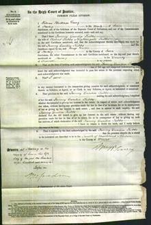 Court of Common Pleas - Fanny Cecilia Tubbs-Original Ancestry