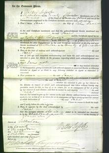 Court of Common Pleas - Jane Pearce-Original Ancestry