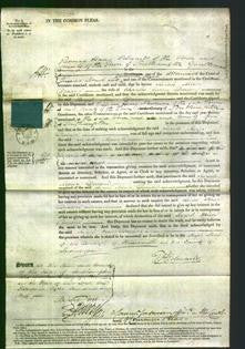 Court of Common Pleas - Sarah Maria Deacon-Original Ancestry