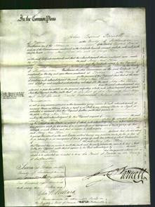 Court of Common Pleas - Mary Ann Thom-Original Ancestry