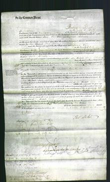Court of Common Pleas - Jane Johnson-Original Ancestry