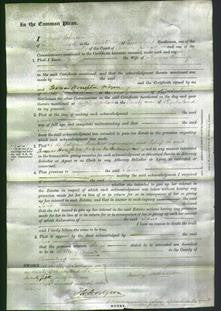 Court of Common Pleas - Jane Hannop-Original Ancestry