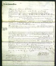 Court of Common Pleas - Ann Gilman-Original Ancestry