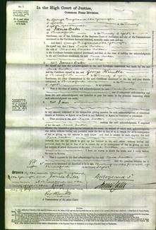 Court of Common Pleas - Jane Turton-Original Ancestry