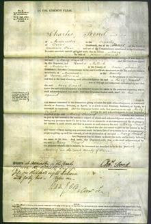 Court of Common Pleas - Mary Smart-Original Ancestry