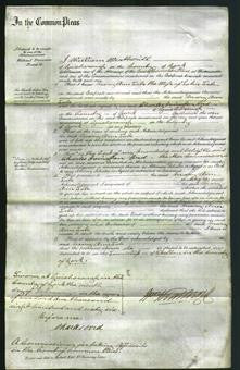 Court of Common Pleas - Mary Ann Take-Original Ancestry