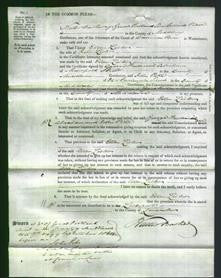 Court of Common Pleas - Ellen Lister-Original Ancestry