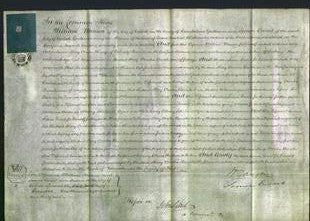 Court of Common Pleas - Mary Amelia Bewicke-Original Ancestry
