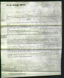 Court of Common Pleas - Sarah Dudley and Mary Ann Vaughan-Original Ancestry