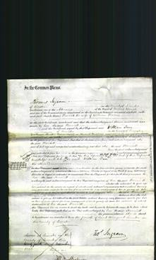 Court of Common Pleas - Harriett Harris-Original Ancestry