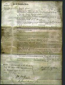 Court of Common Pleas - Mary Elizabeth Godber Mold-Original Ancestry