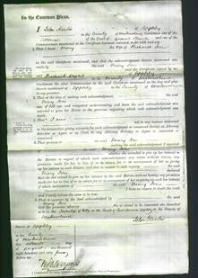 Court of Common Pleas - Mary Jon-Original Ancestry