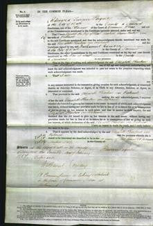 Court of Common Pleas - Elizabeth Krockow von Wickerode-Original Ancestry