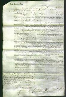 Court of Common Pleas - Elizabeth Morris-Original Ancestry