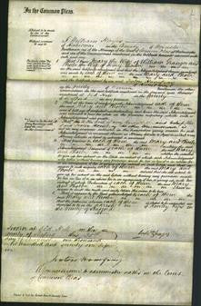 Court of Common Pleas - Mary Granger and Phoebe Barber-Original Ancestry