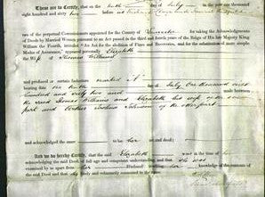 Deed by Married Women - Elizabeth Williams-Original Ancestry