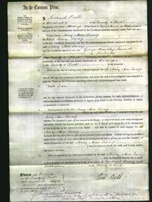 Court of Common Pleas - Mary Ann Savage-Original Ancestry