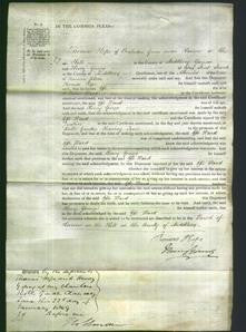 Court of Common Pleas - Effe Ward-Original Ancestry