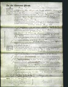 Court of Common Pleas - Louisa Eleanora Harris-Original Ancestry