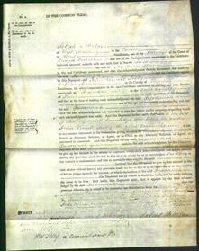 Court of Common Pleas - Susannah Spong-Original Ancestry