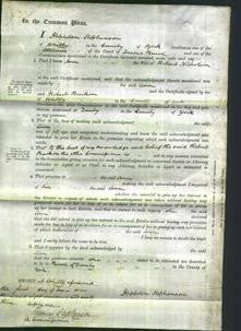 Court of Common Pleas - Ann Nicholson-Original Ancestry