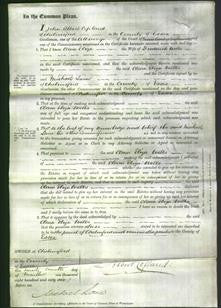 Court of Common Pleas - Clara Eliza Wells-Original Ancestry