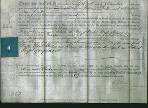Deed by Married Women - Mary Newman and Rhoda Palmer-Original Ancestry