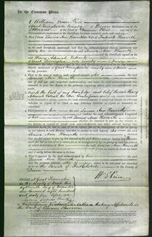 Court of Common Pleas - Louisa Ann Haworth-Original Ancestry