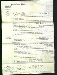 Court of Common Pleas - Ann Rosling-Original Ancestry