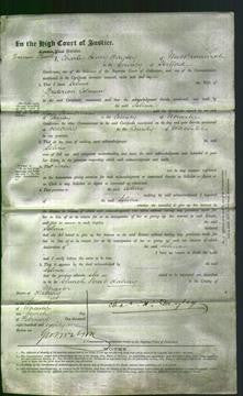 Court of Common Pleas - Selina Colman-Original Ancestry