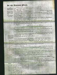 Court of Common Pleas - Mary Sophia Bonsey-Original Ancestry