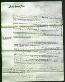 Court of Common Pleas - Matilda Patton-Original Ancestry