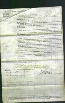 Court of Common Pleas - Sarah Maria Grunt-Original Ancestry