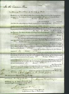 Court of Common Pleas - Eleanor Seymour