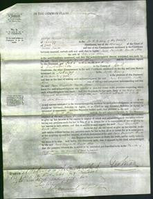 Court of Common Pleas - Jane Elizabeth Routh Allen
