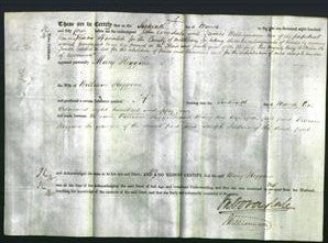 Deed by Married Women - Mary Higgins-Original Ancestry