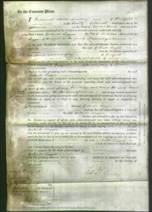 Court of Common Pleas - Gertrude Loggin-Original Ancestry